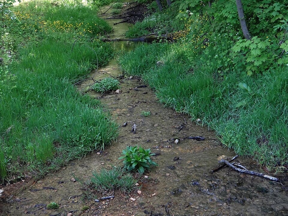 Zdjęcie Szklarka (dopływ Rudawki)